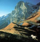 Grans Sasso d'Italia - Monti della laga